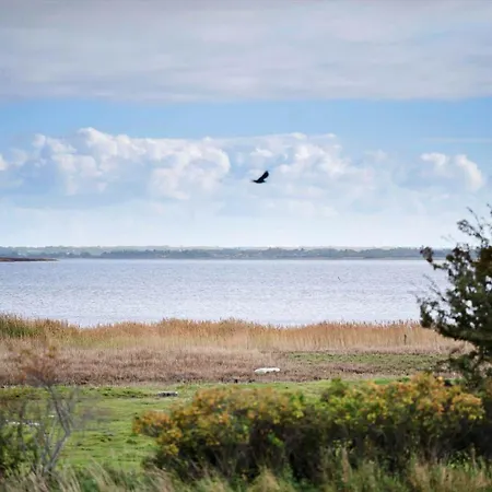 N338-karrebaeksminde-strandskadevej-1